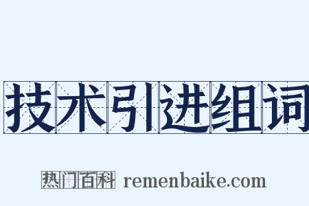 技术引进组词是什么意思的图片